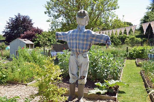 32. Church Allotments.jpg